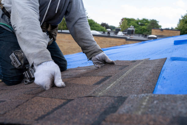 Best Shingle Roofing Installation  in Venice, FL